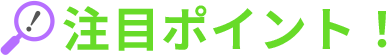 注目ポイント